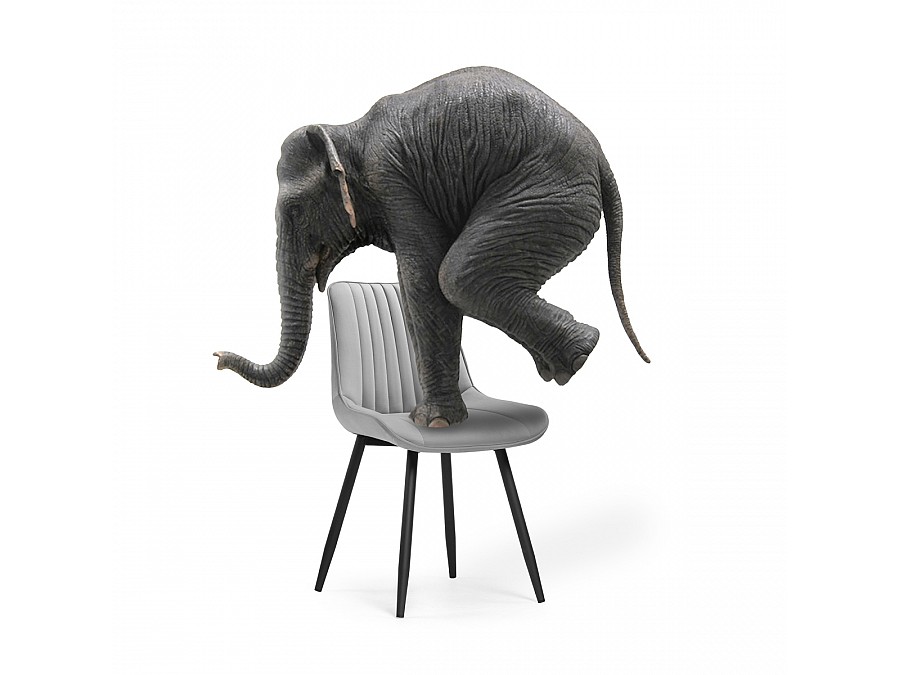 Стул на металлокаркасе Седа светло-серый / черный