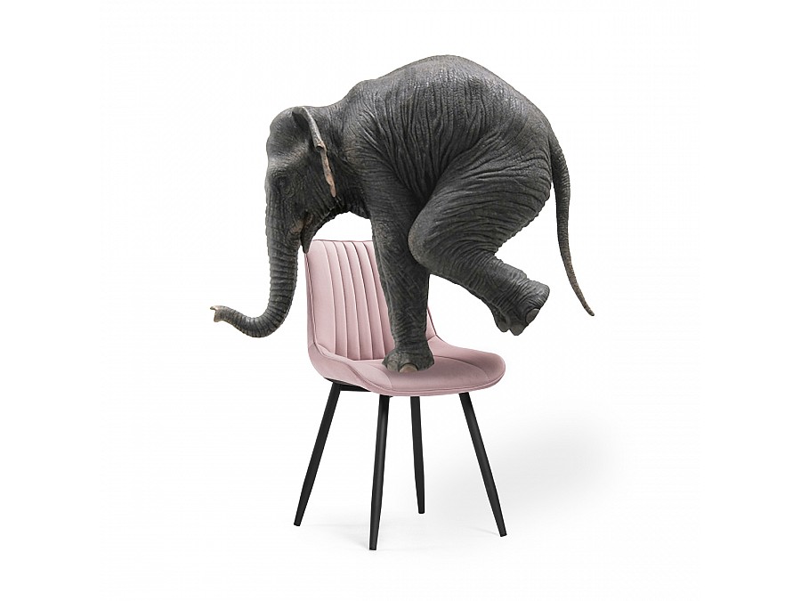 Стул на металлокаркасе Седа розовый / черный