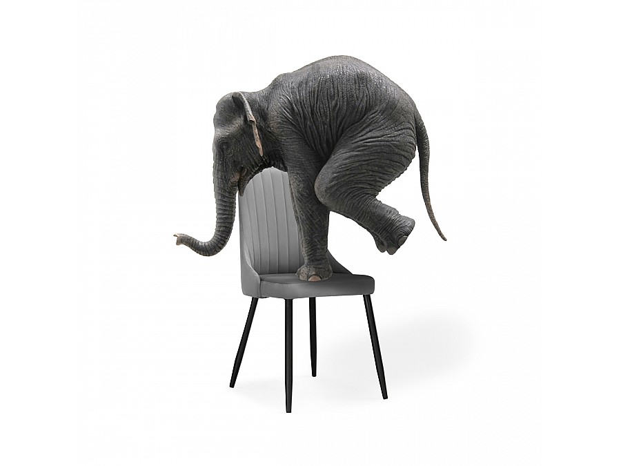 Стул на металлокаркасе Кора темно-серый / черный