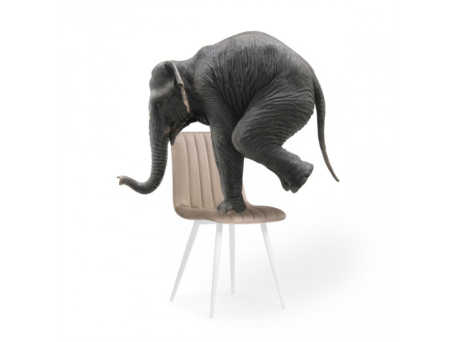 Стул на металлокаркасе Дани бежевый / белый