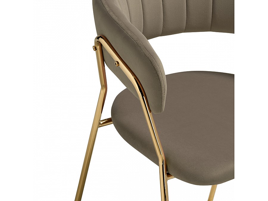 Стул на металлокаркасе Kamelia 1 cappuccino / gold