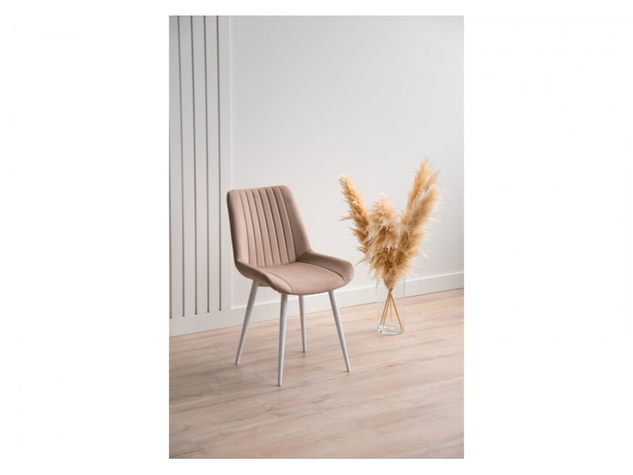 Седа бежевый (zd 210) / белый np