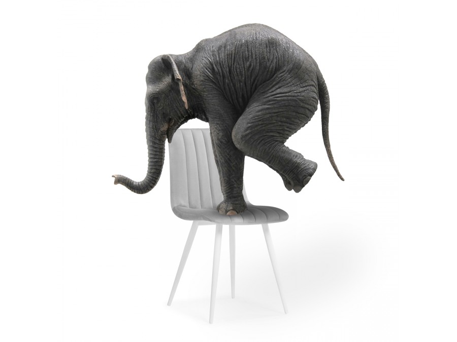 Стул на металлокаркасе Дани светло-серый / белый