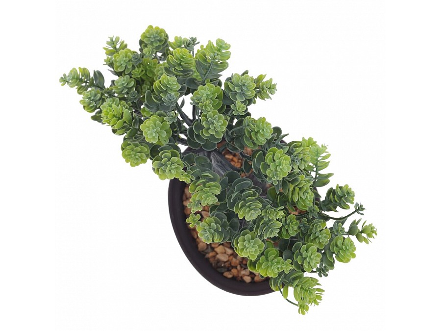 Цветочная композиция 