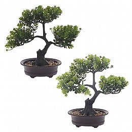 Цветочная композиция 