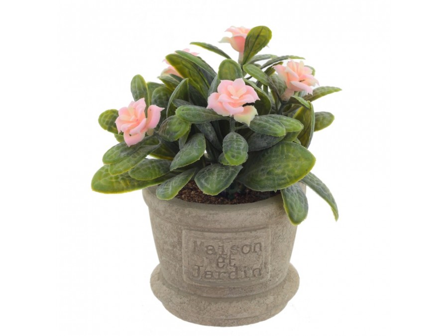 Цветочная композиция, L12 W12 H13 см