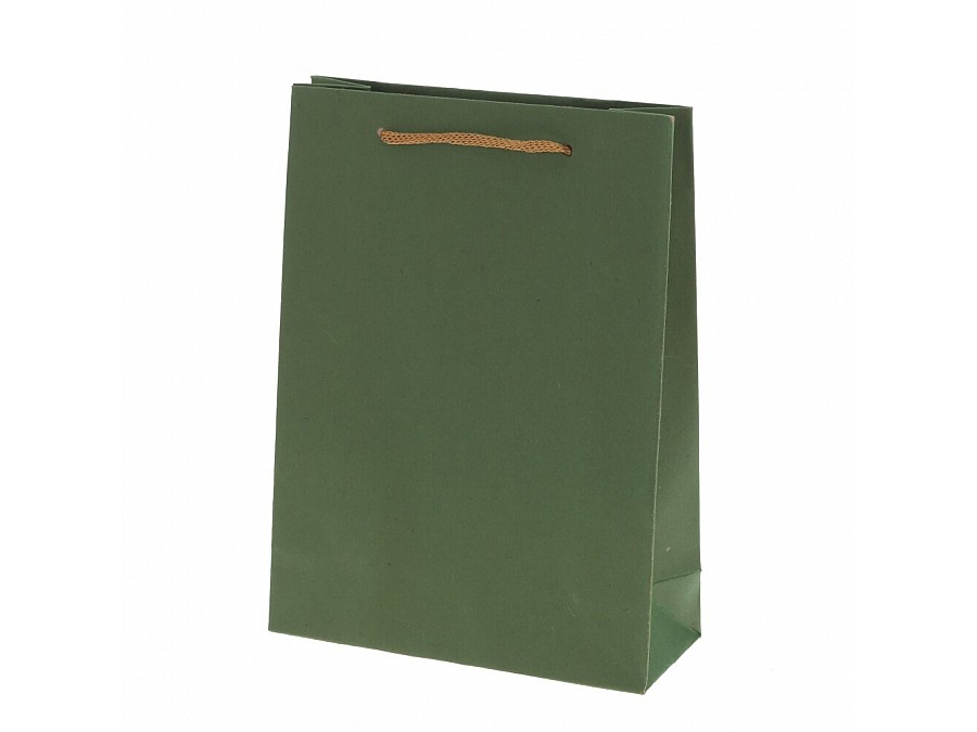 Пакет подарочный (бумага, плотность 210г/м2, блок 12шт), L15 W6 H20 см, 4в.