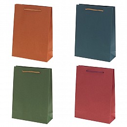 Пакет подарочный (бумага, плотность 210г/м2, блок 12шт), L15 W6 H20 см, 4в.