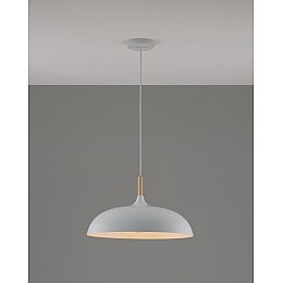 Подвесной светильник Moderli V1330-P Hygo 1*E27*60W