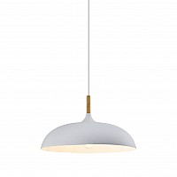 Светильник подвесной Moderli V11447-1P Hygo
