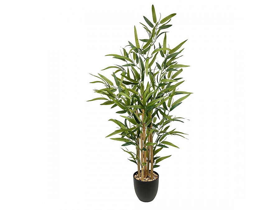 Бамбук в пластиковом горшке, Д135 Ш135 В920
