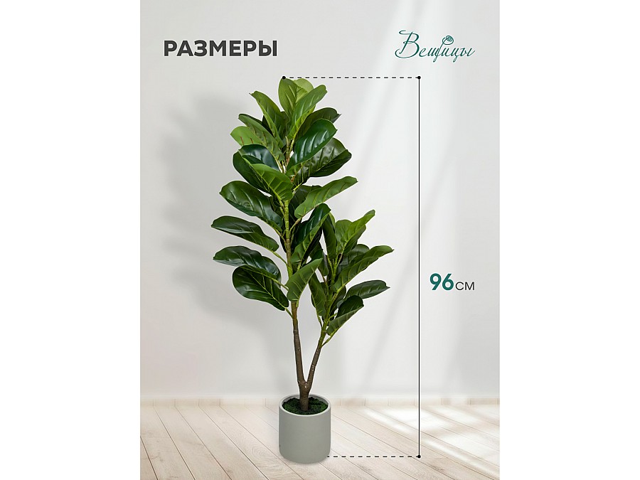 Фикус в цементном горшке, Д140 Ш140 В960