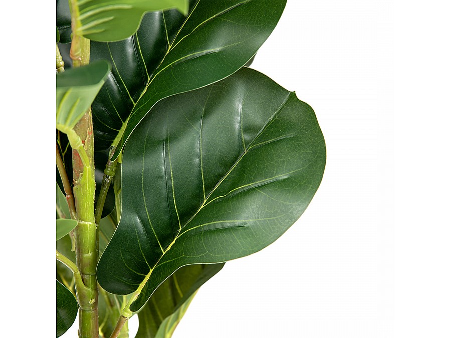 Фикус в цементном горшке, Д140 Ш140 В960