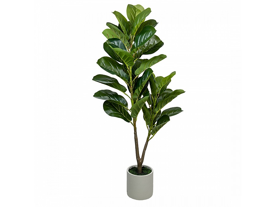 Фикус в цементном горшке, Д140 Ш140 В960