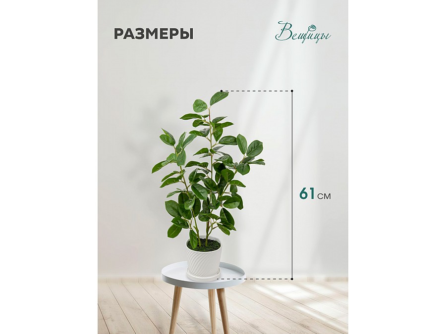 Мини дерево в керамическом горшке, Д135 Ш135 В610