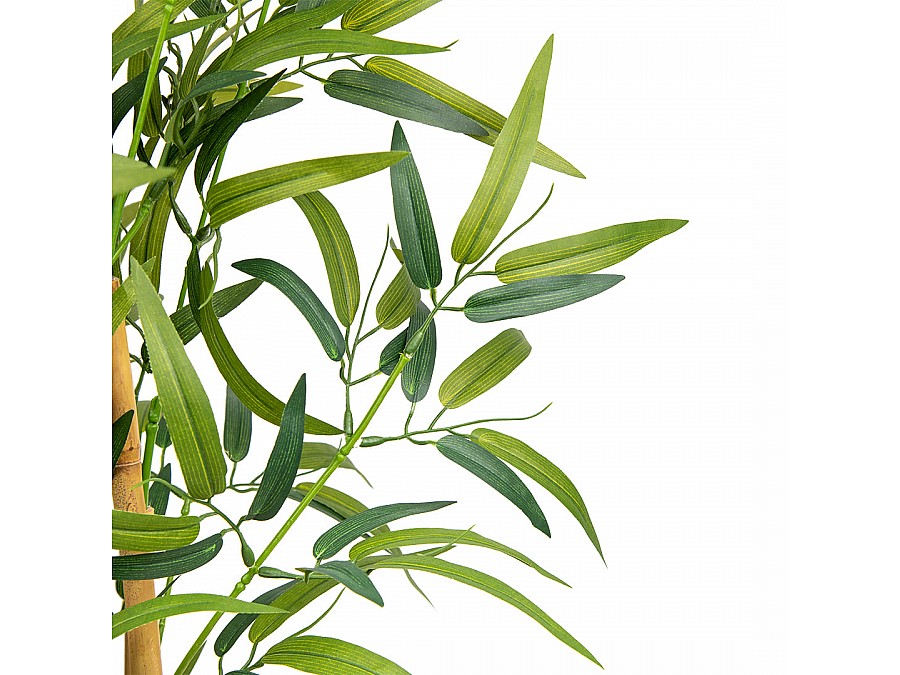 Бамбук в пластиковом горшке, Д135 Ш135 В920