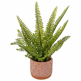 Папоротник в керамическом горшке, Д120 Ш120 В420