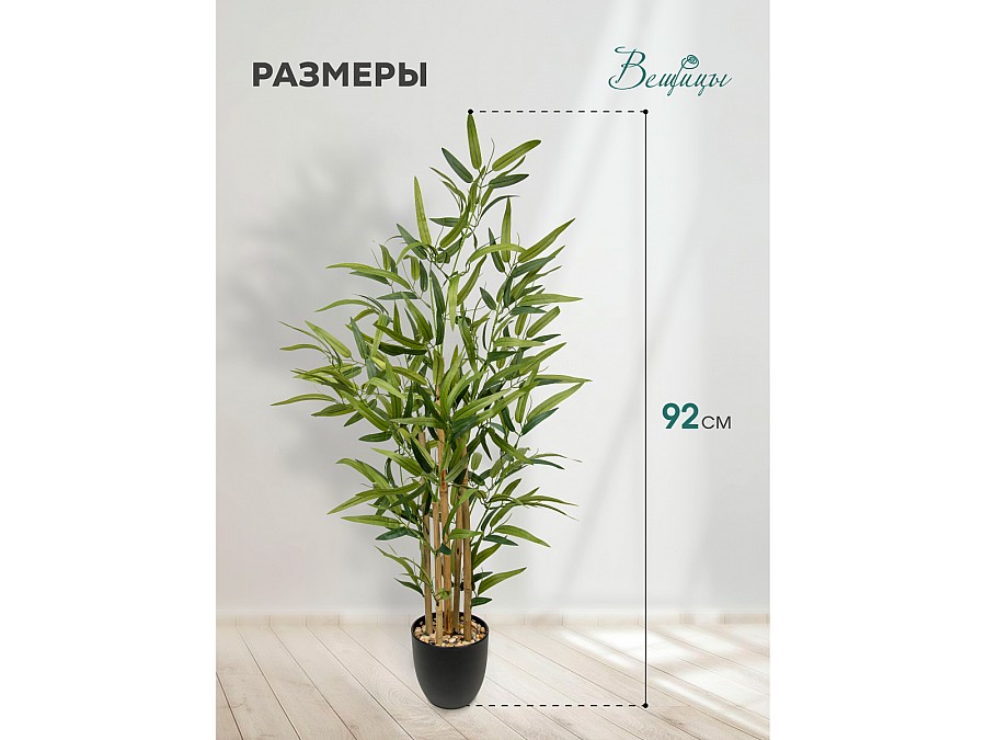Бамбук в пластиковом горшке, Д135 Ш135 В920