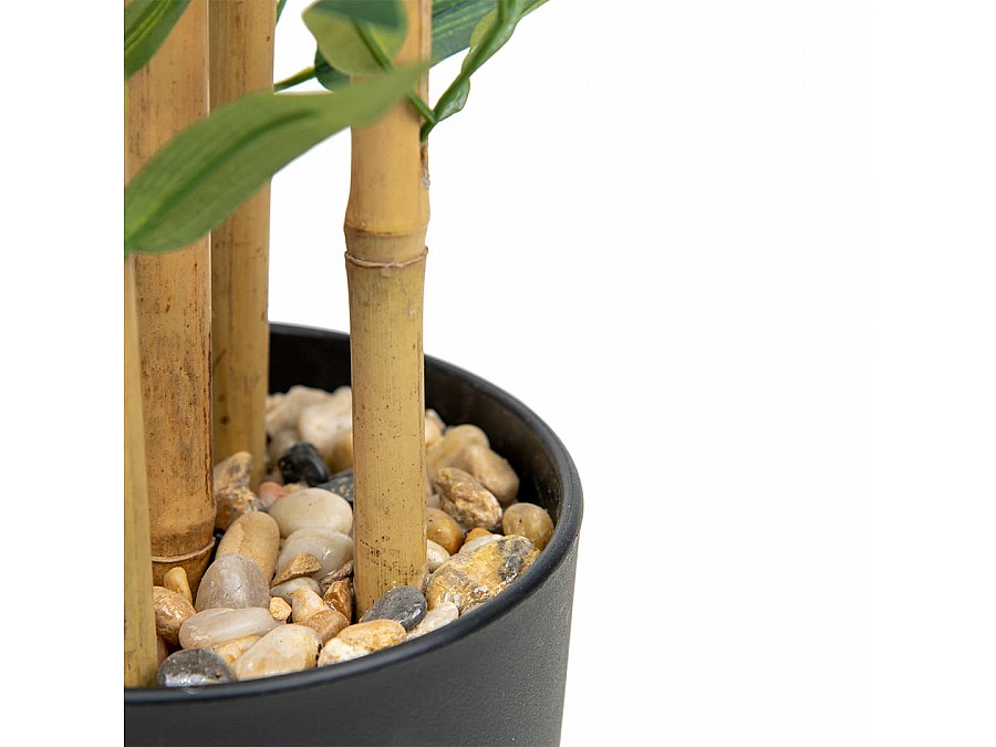 Бамбук в пластиковом горшке, Д135 Ш135 В920