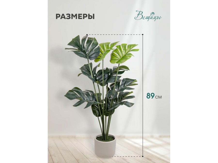 Монстера в цементном горшке, Д150 Ш150 В890
