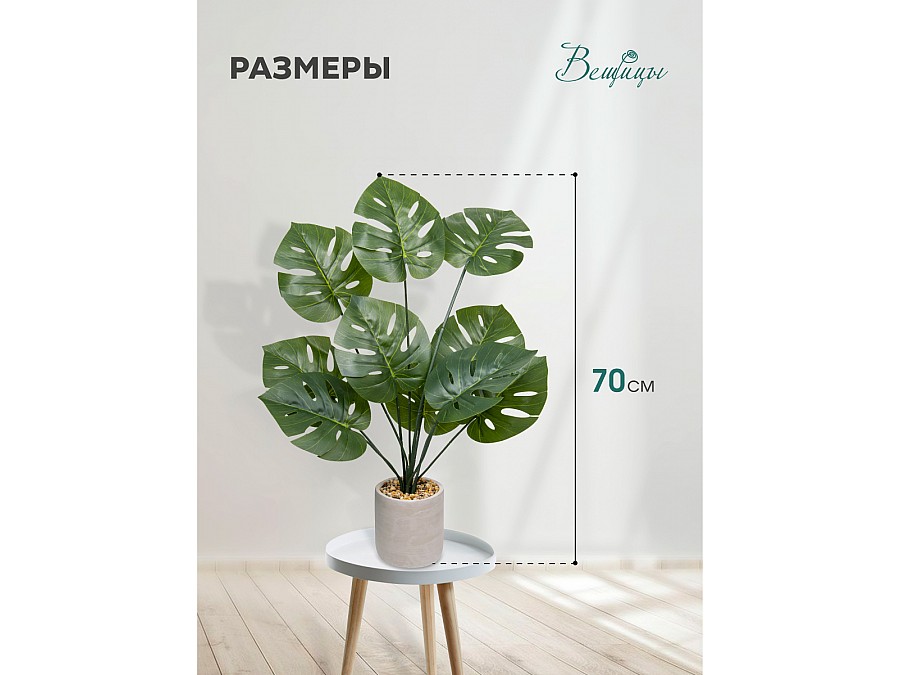 Монстера в керамическом горшке, Д120 Ш120 В700