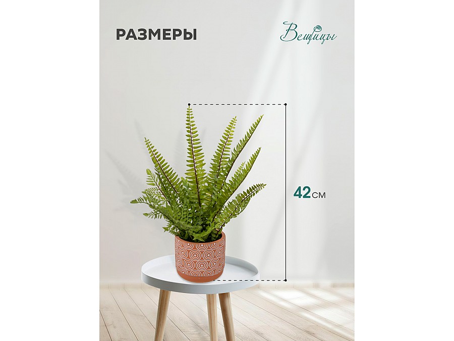 Папоротник в керамическом горшке, Д120 Ш120 В420