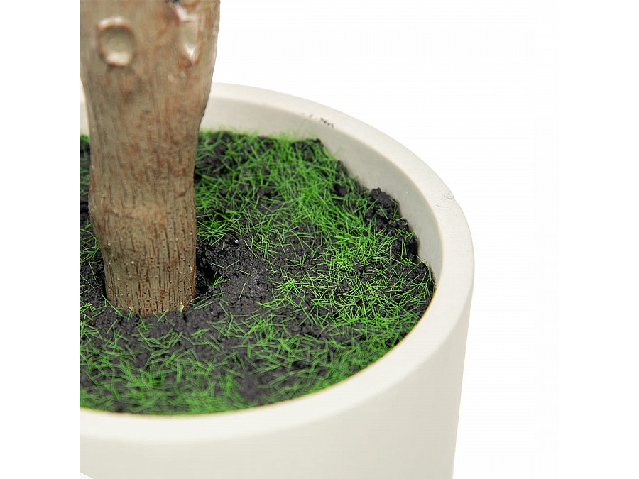 Фикус в цементном горшке, Д140 Ш140 В960