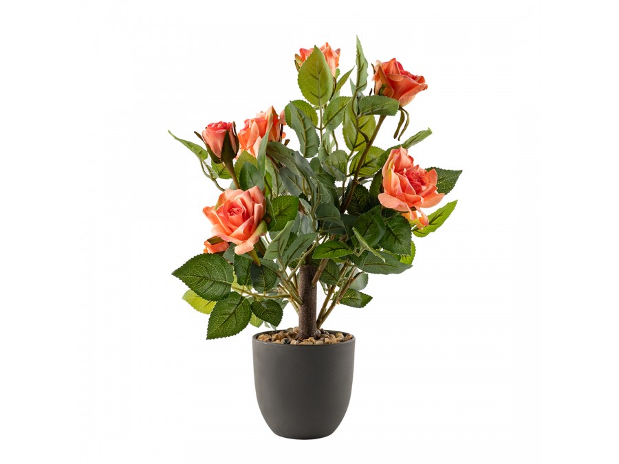 Цветочная композиция 