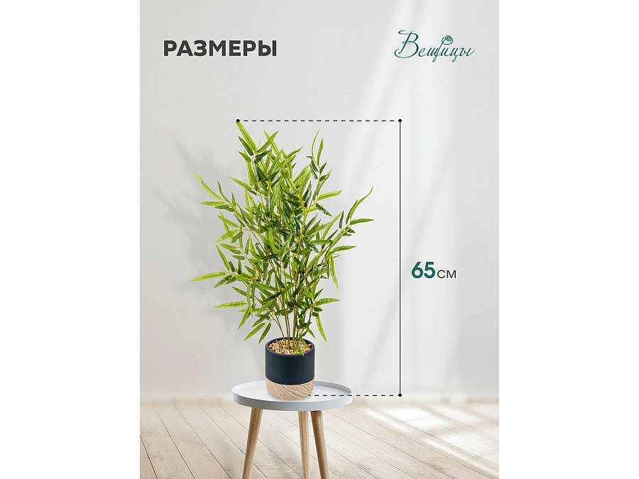 Бамбук в цементном горшке, Д125 Ш125 В650