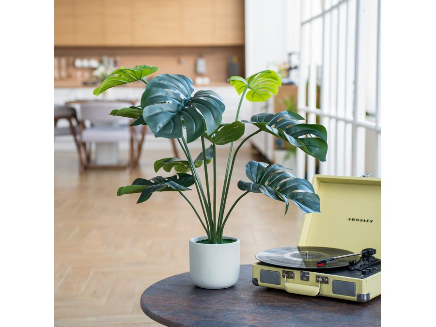 Монстера в цементном горшке, Д150 Ш150 В890