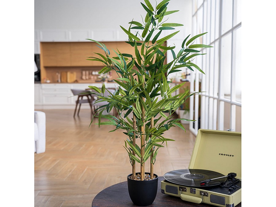 Бамбук в пластиковом горшке, Д135 Ш135 В920