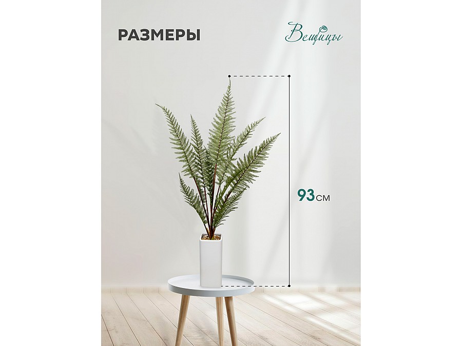 Папоротник в керамическом горшке, Д110 Ш110 В930