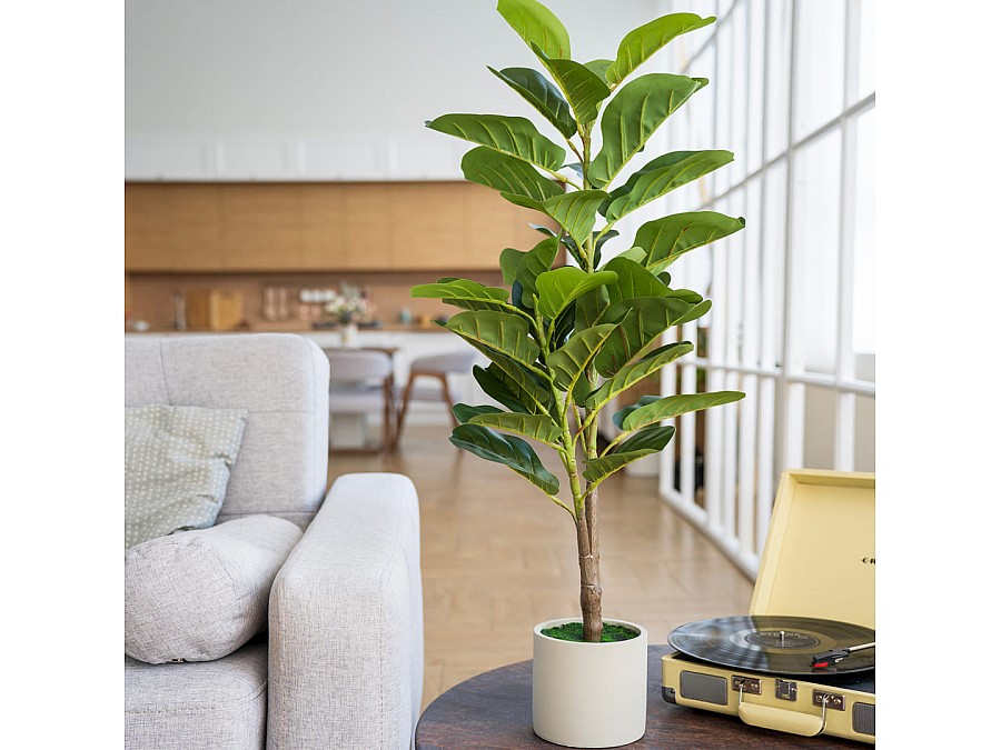 Фикус в цементном горшке, Д140 Ш140 В960