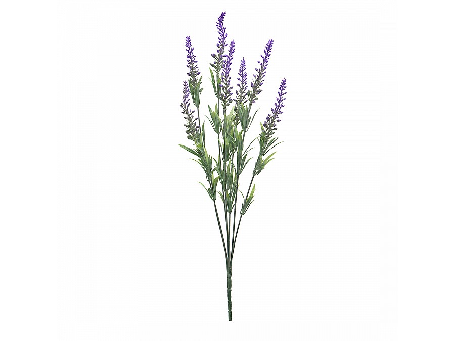 Вереск, В450, сиреневый