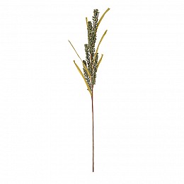 Соцветие, В700, зеленый