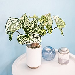 Антуриум искусственный, В 38 см