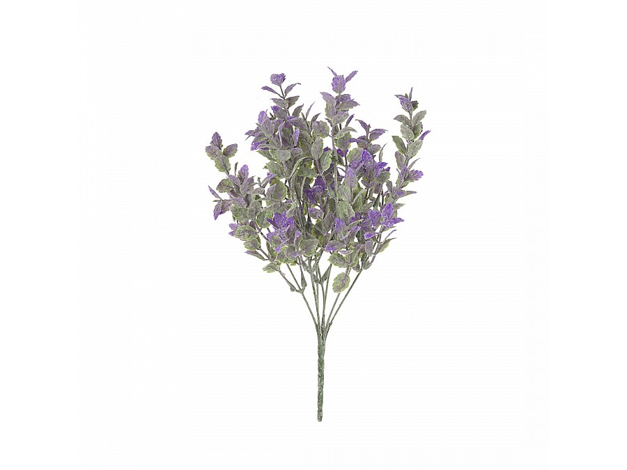 Мелкоцвет, В300, фиолетовый