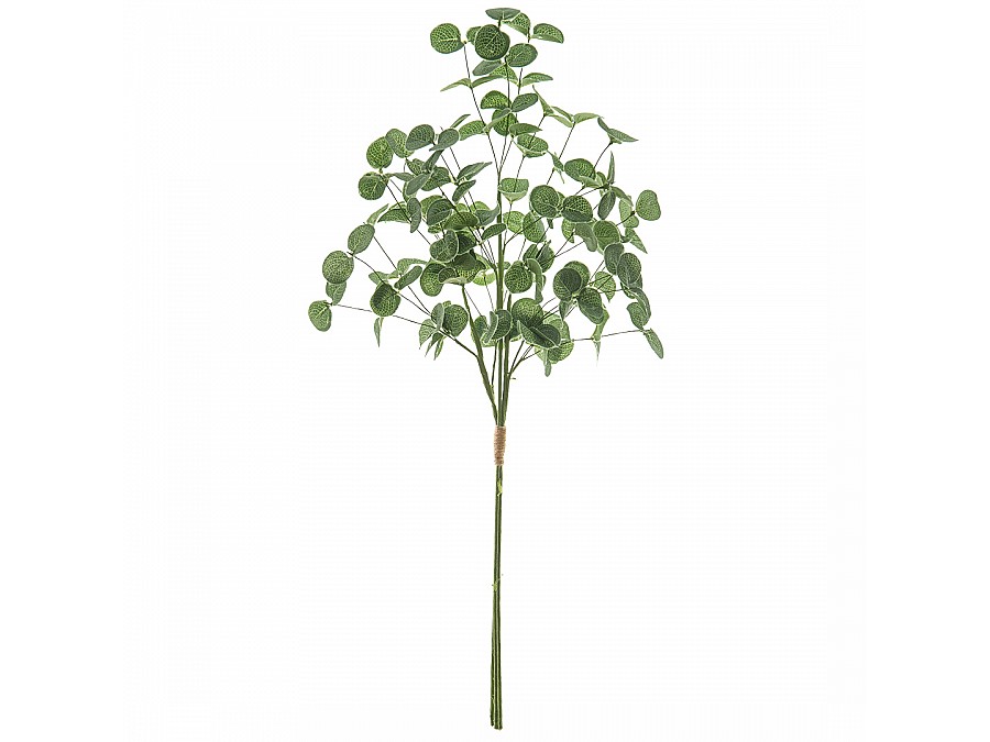 Ветка эвкалипта, В700 мм, зеленый