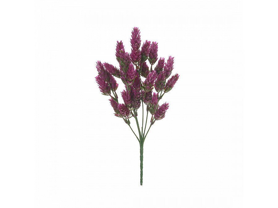 Хмель, В300, розовый