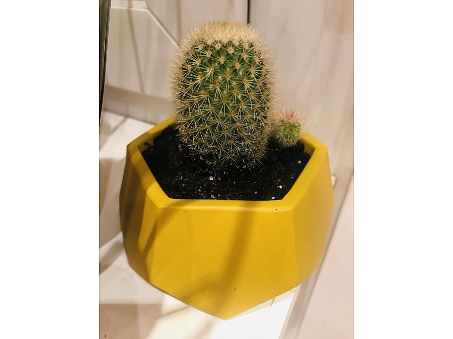 Кашпо Соты, 0,22л., желтый