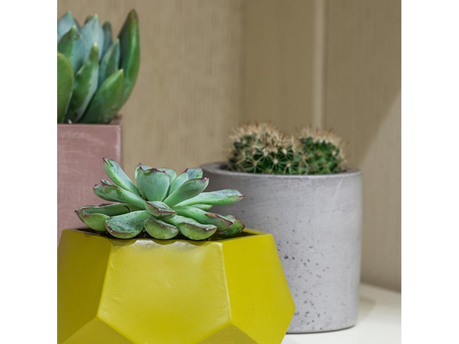 Кашпо Лайт, 0,22л.,серый