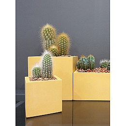 Кашпо Квадро, 0,2л., желтый