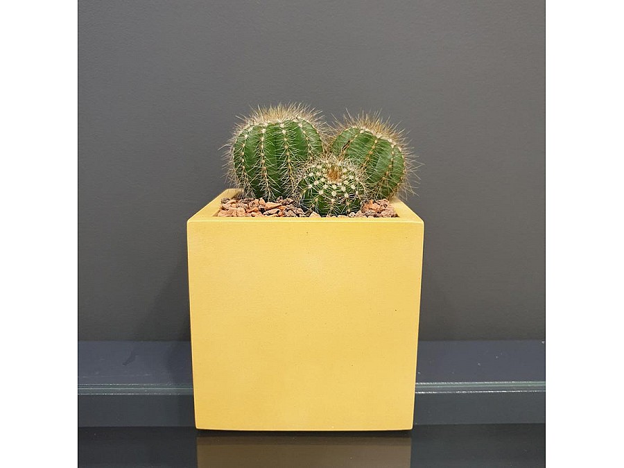 Кашпо Квадро, 0,6л., желтый