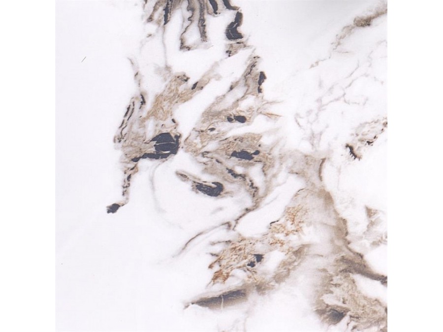 Стол обеденный Garet 120