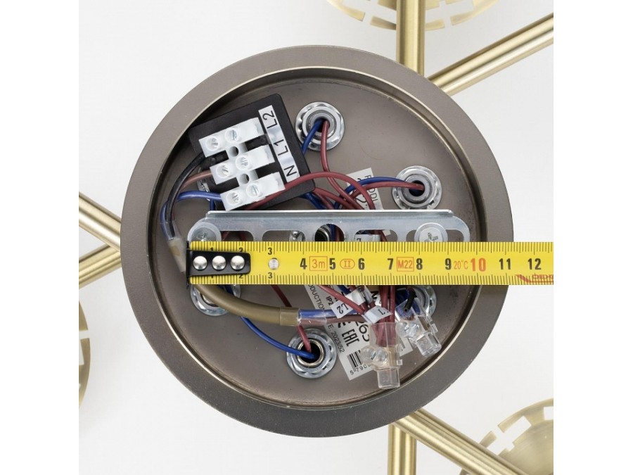 Потолочная люстра Citilux AXIS CL313263