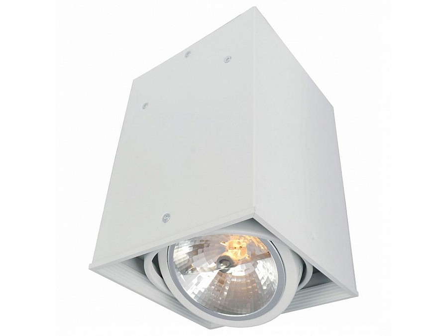 Накладной светильник Arte Lamp Cardani A5936PL-1WH