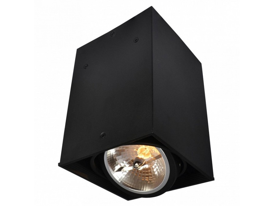 Накладной светильник Arte Lamp Cardani A5936PL-1BK