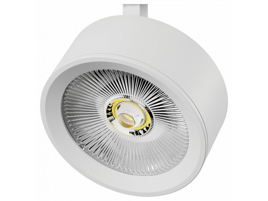 Плафон металлический Lightstar Alta Pro 215646