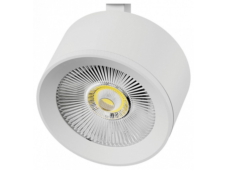 Плафон металлический Lightstar Alta Pro 215536