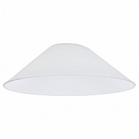 Плафон стеклянный Citilux Эдисон CL450.12